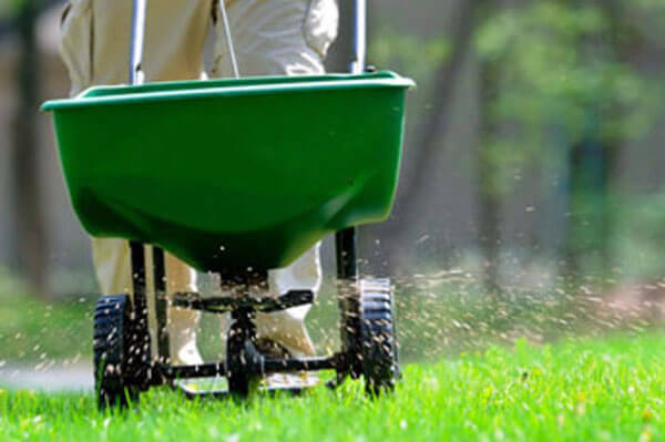 Fertilizing