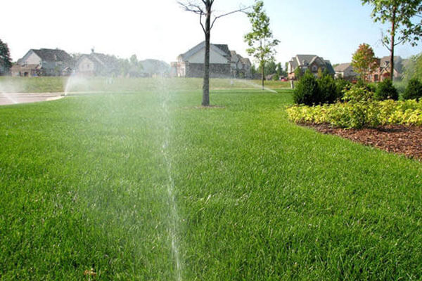 Irrigation