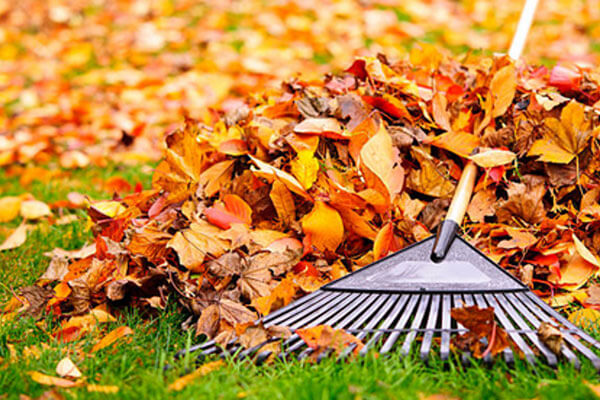 Seasonal